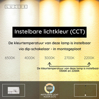 CALINA - Pendant light - Ø 9,9 cm - LED Dimmable - CCT - 1x7W 2200K/3300K - With replaceable LED module - Black