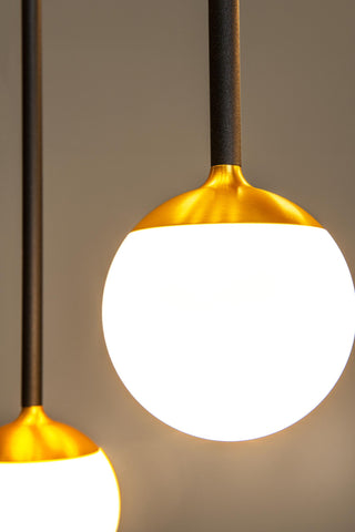 CALINA - Hanglamp - LED Dimb. - CCT - 12x7W 2200K/3300K - Met vervangbare LED-module - Zwart
