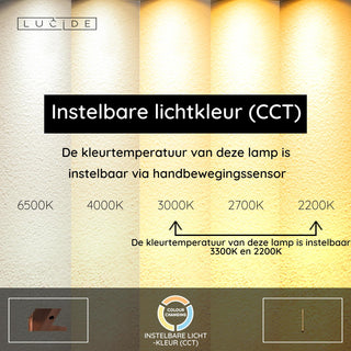 JANDERIN - Vloerlamp - LED Dimb. - CCT - 2x17W 2200K/3300K - Handbewegingssensor - Champagne kleur | Vibes