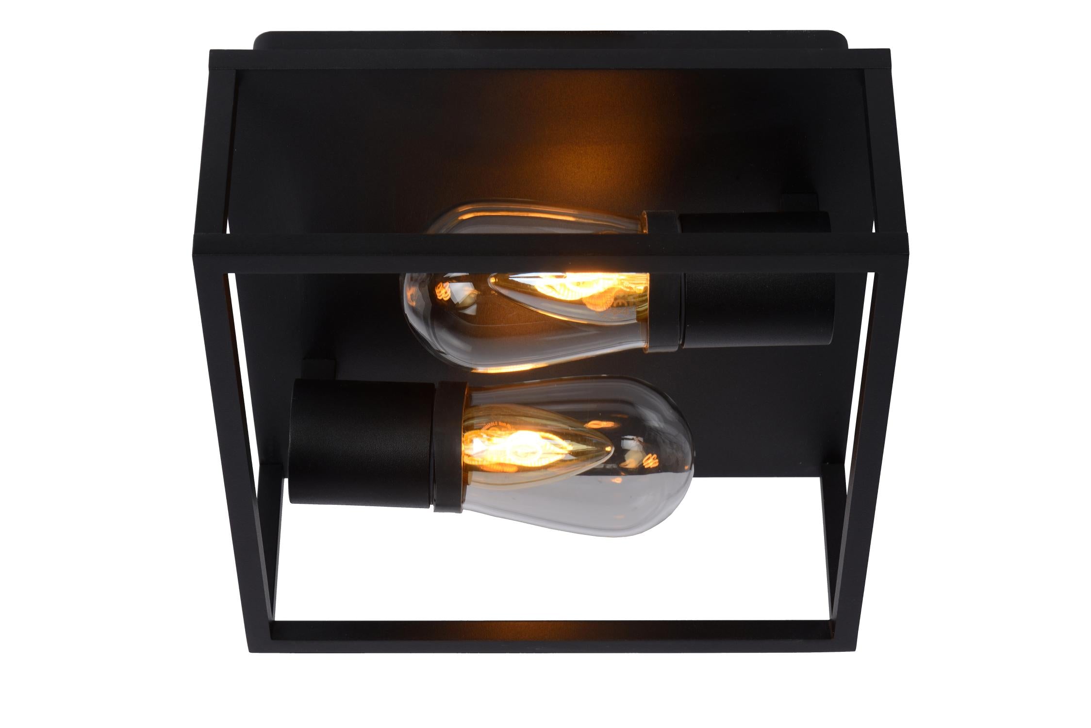 CARLYN - Plafonnier Salle de bain - 2xE14 - IP54 - Noir
