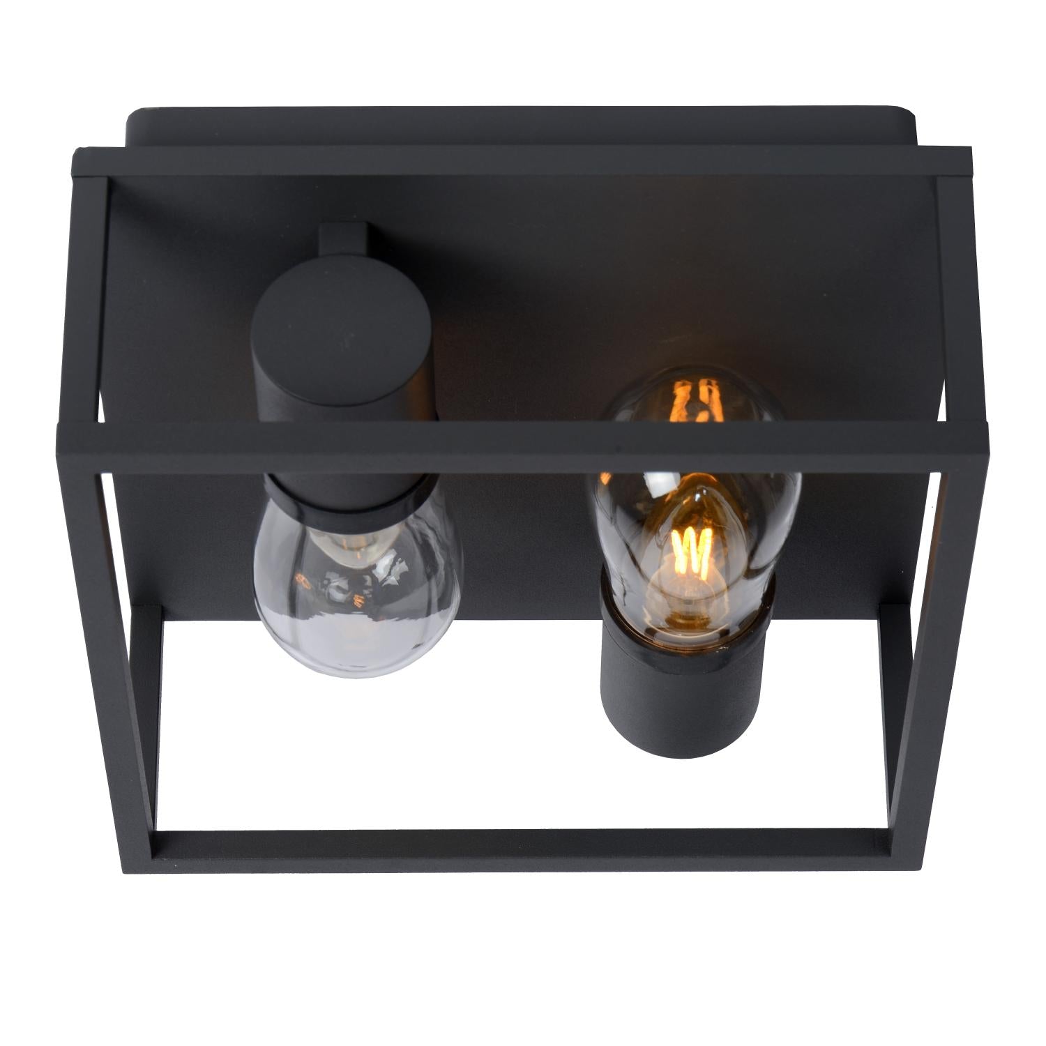 CARLYN - Plafonnier Salle de bain - 2xE14 - IP54 - Noir