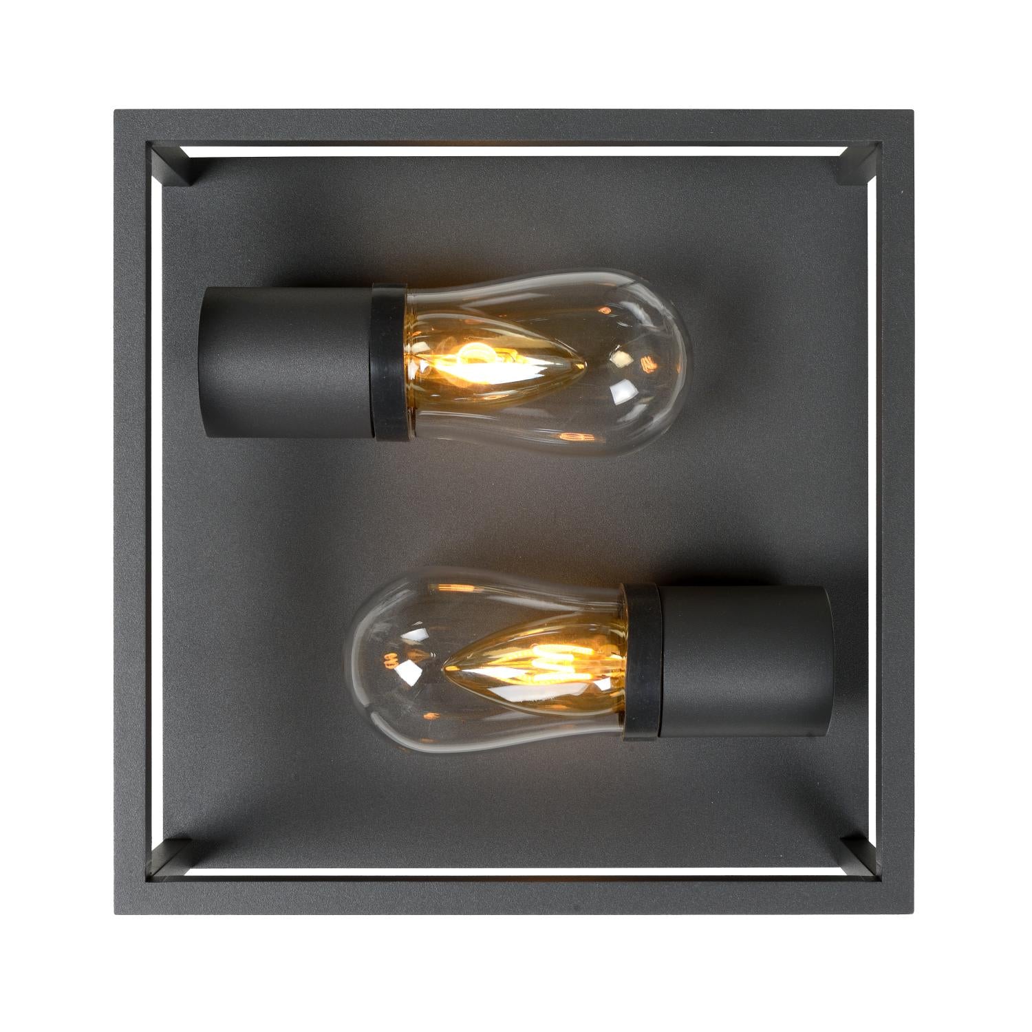 CARLYN - Plafonnier Salle de bain - 2xE14 - IP54 - Noir