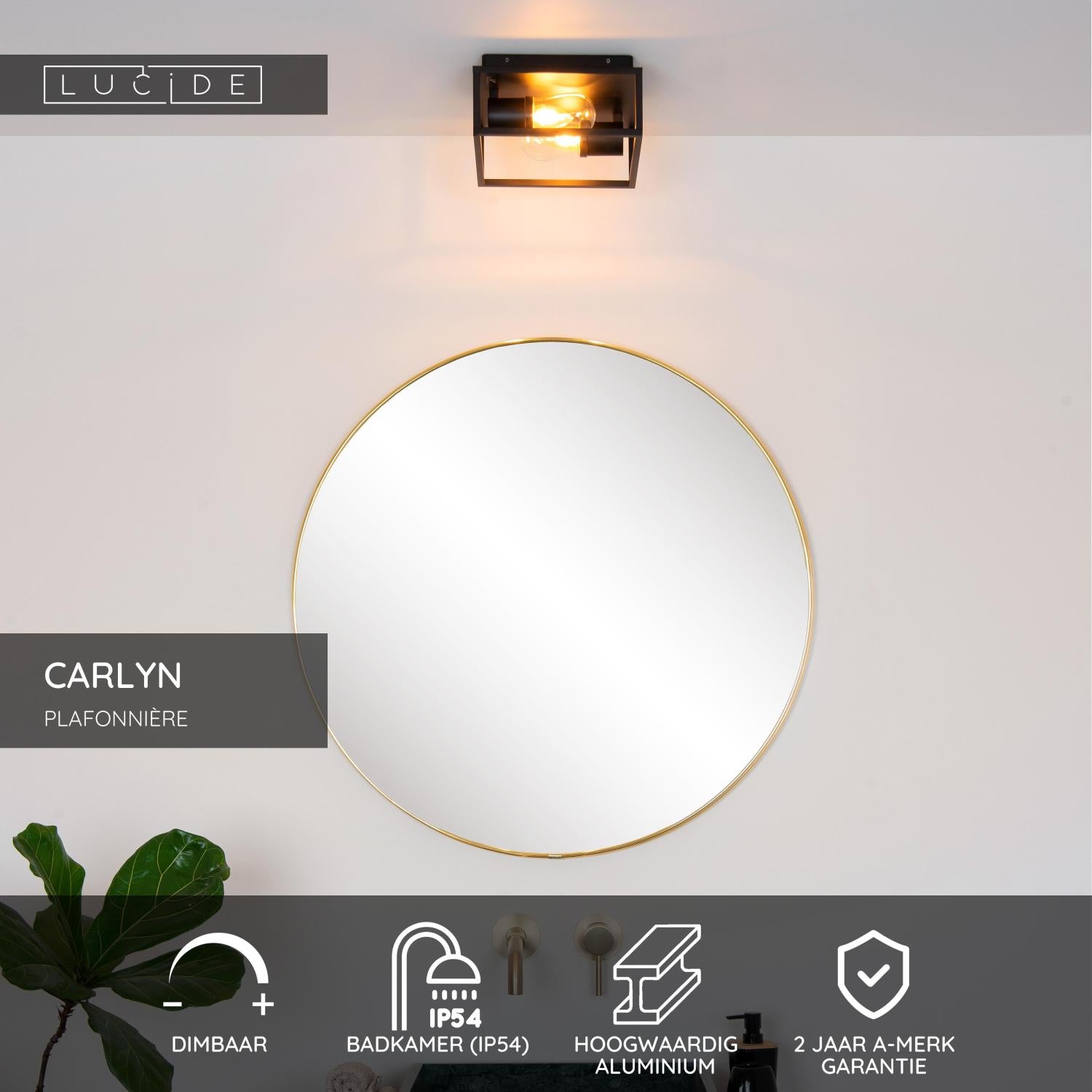 CARLYN - Plafonnier Salle de bain - 2xE14 - IP54 - Noir