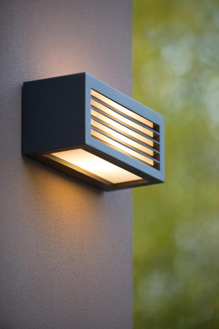 DIMO - Wandlamp Binnen/Buiten - 1xE27 - IP54 - Antraciet