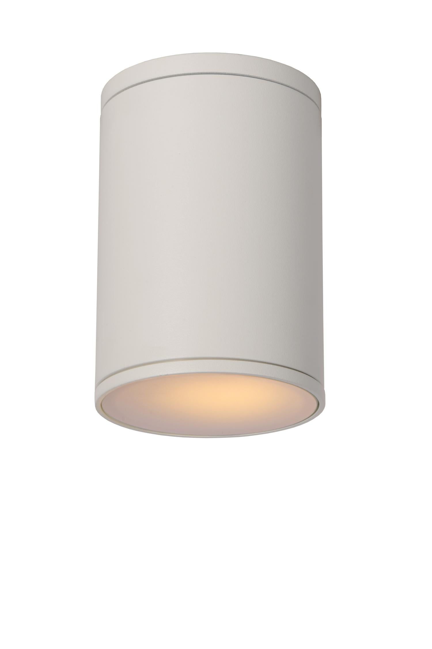 TUBIX - Spot plafonnier Intérieur/Extérieur - Ø 10,8 cm - 1xE27 - IP54 - Blanc