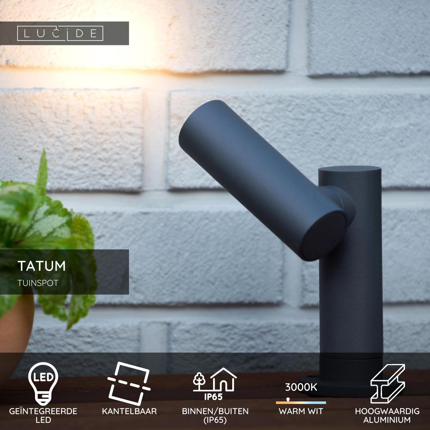 TATUM - Garden spot - LED - 1x5W 3000K - IP65 - Anthracite