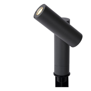 TATUM - Spot de jardin - LED - 1x4,5W 3000K - IP65 - Anthracite