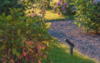 TATUM - Spot de jardin - LED - 1x4,5W 3000K - IP65 - Anthracite