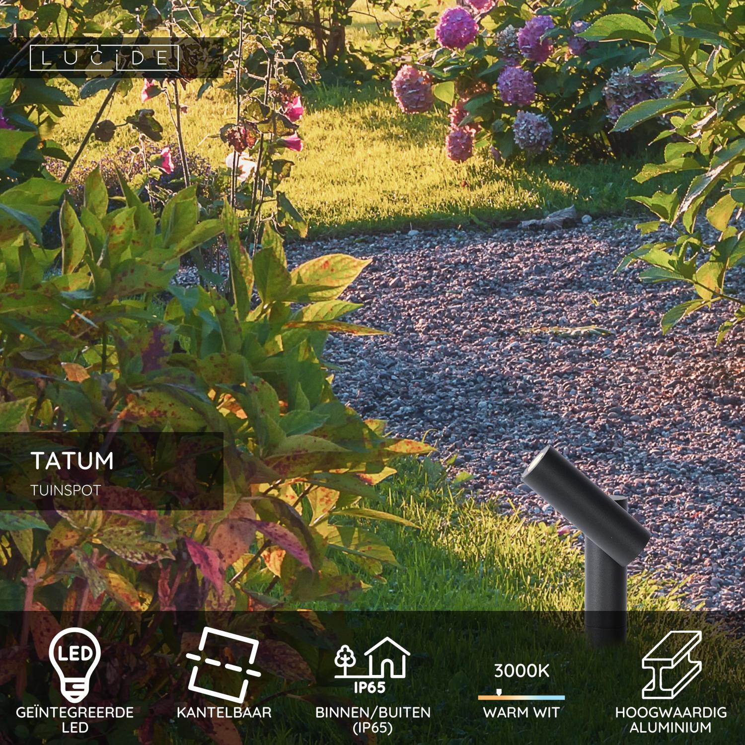TATUM - Garden spot - LED - 1x4.5W 3000K - IP65 - Anthracite