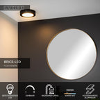 BRICE-LED - Plafonnier Salle de bain - Ø 18 cm - LED Var. - 1x12W 3000K - IP44 - Noir