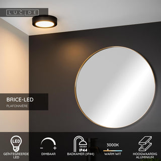 BRICE-LED - Plafonnier Salle de bain - Ø 18 cm - LED Var. - 1x12W 3000K - IP44 - Noir