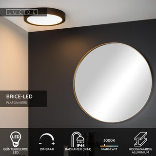 BRICE-LED - Plafonnier Salle de bain - Ø 30 cm - LED Var. - 1x30W 3000K - IP44 - Noir