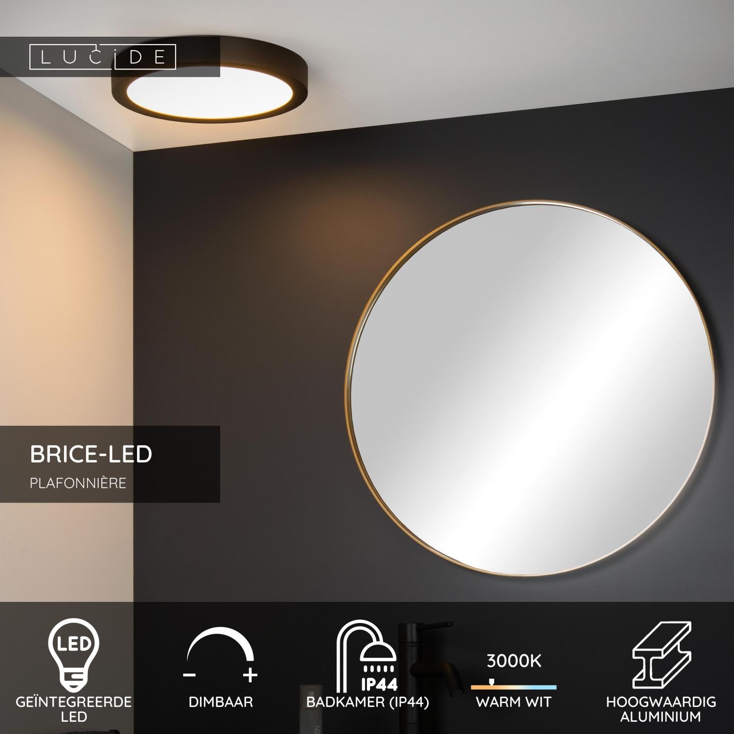 BRICE-LED - Plafonnier Salle de bain - Ø 30 cm - LED Var. - 1x30W 3000K - IP44 - Noir