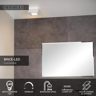 BRICE-LED - Plafonnière Badkamer - LED Dimb. - 1x8W 3000K - IP44 - Wit