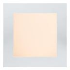 BRICE-LED - Plafonnière Badkamer - LED Dimb. - 1x15W 3000K - IP44 - Wit