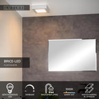 BRICE-LED - Plafonnière Badkamer - LED Dimb. - 1x15W 3000K - IP44 - Wit