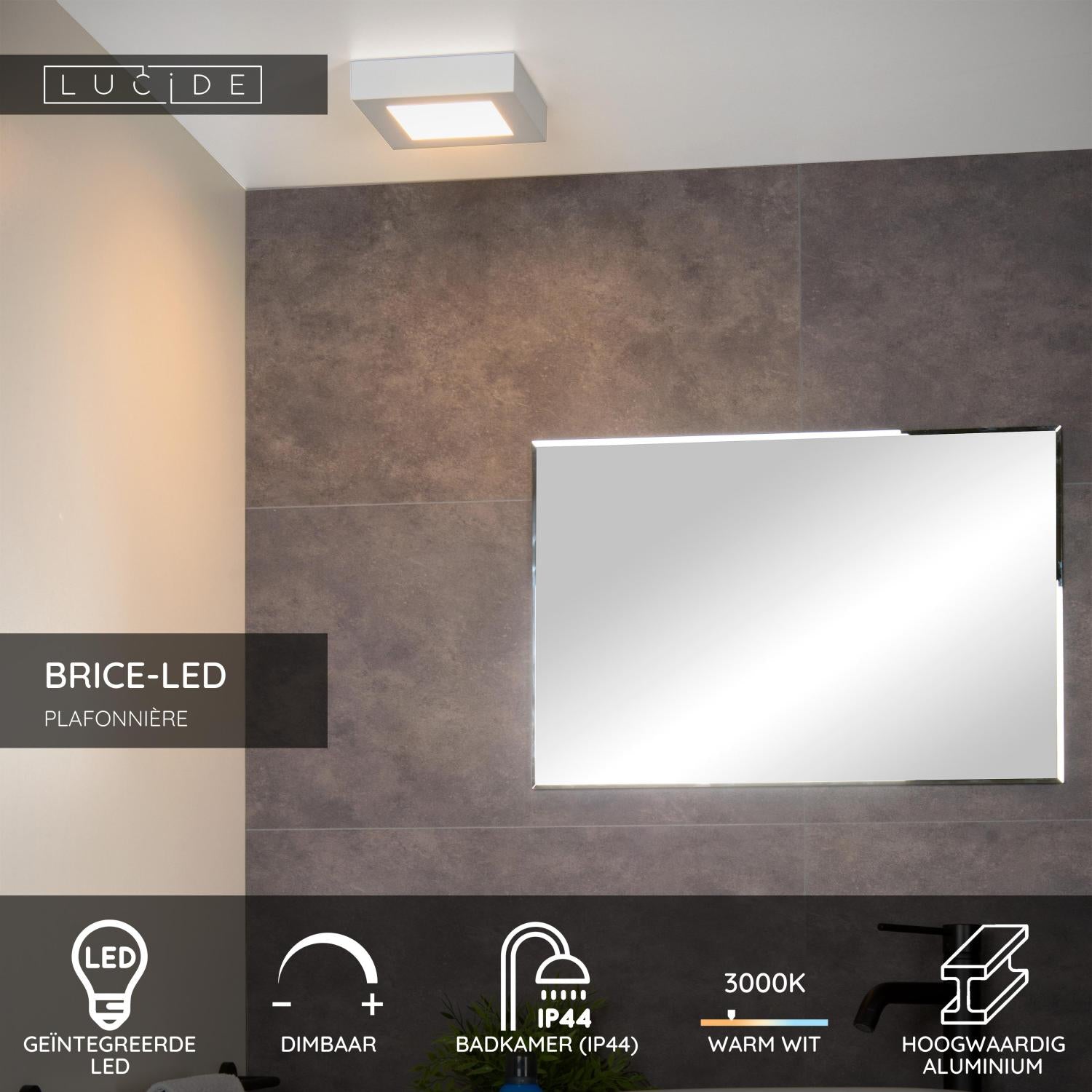 BRICE-LED - Plafonnière Badkamer - LED Dimb. - 1x15W 3000K - IP44 - Wit