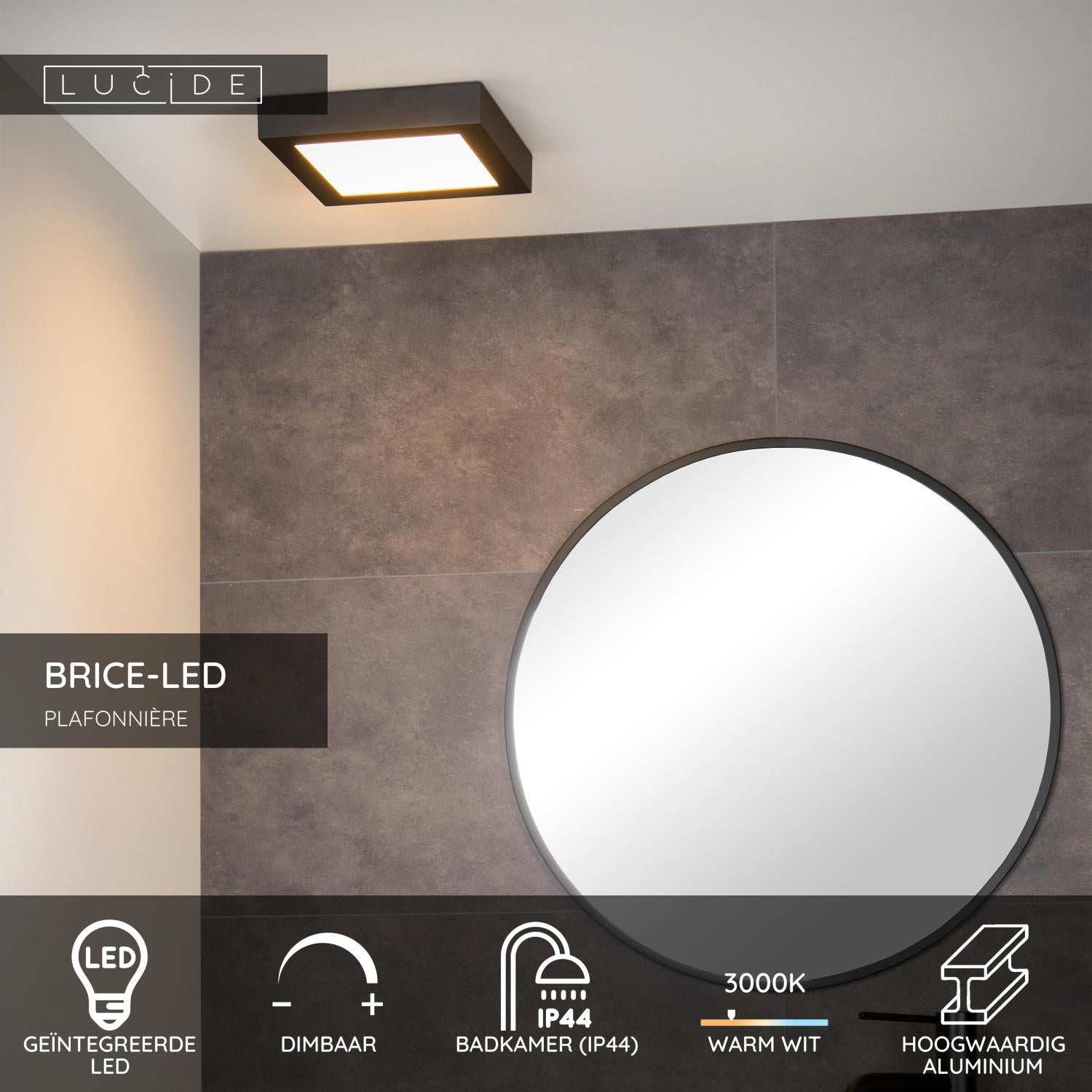 BRICE-LED - Ceiling light Bathroom - LED Dimmable - 1x22W 3000K - IP44 - Black