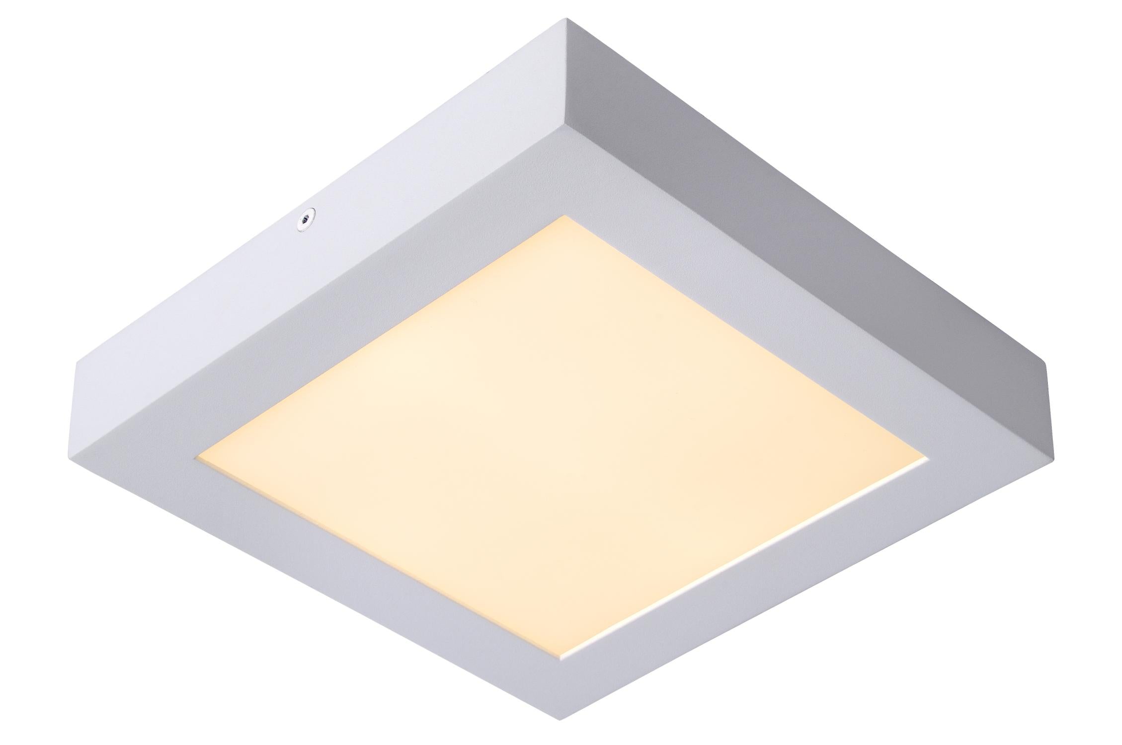 BRICE-LED - Plafonnière Badkamer - LED Dimb. - 1x22W 3000K - IP44 - Wit