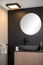 BRICE-LED - Plafonnier Salle de bain - LED Var. - 1x30W 3000K - IP44 - Noir