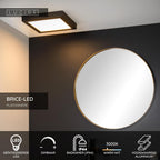 BRICE-LED - Plafonnier Salle de bain - LED Var. - 1x30W 3000K - IP44 - Noir
