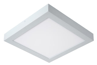 BRICE-LED - Ceiling light Bathroom - LED Dimmable - 1x30W 3000K - IP44 - White