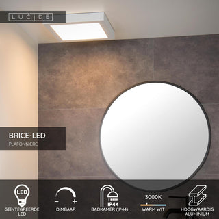 BRICE-LED - Ceiling light Bathroom - LED Dimmable - 1x30W 3000K - IP44 - White