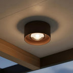 LENZ - Plafondspot Binnen/Buiten - Ø 11 cm - LED - 1x8W 2700K - IP54 - Roest bruin | Essential