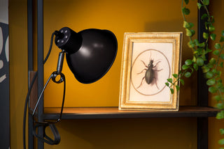 MOYS - Lampe à pince - 1xE27 - Noir