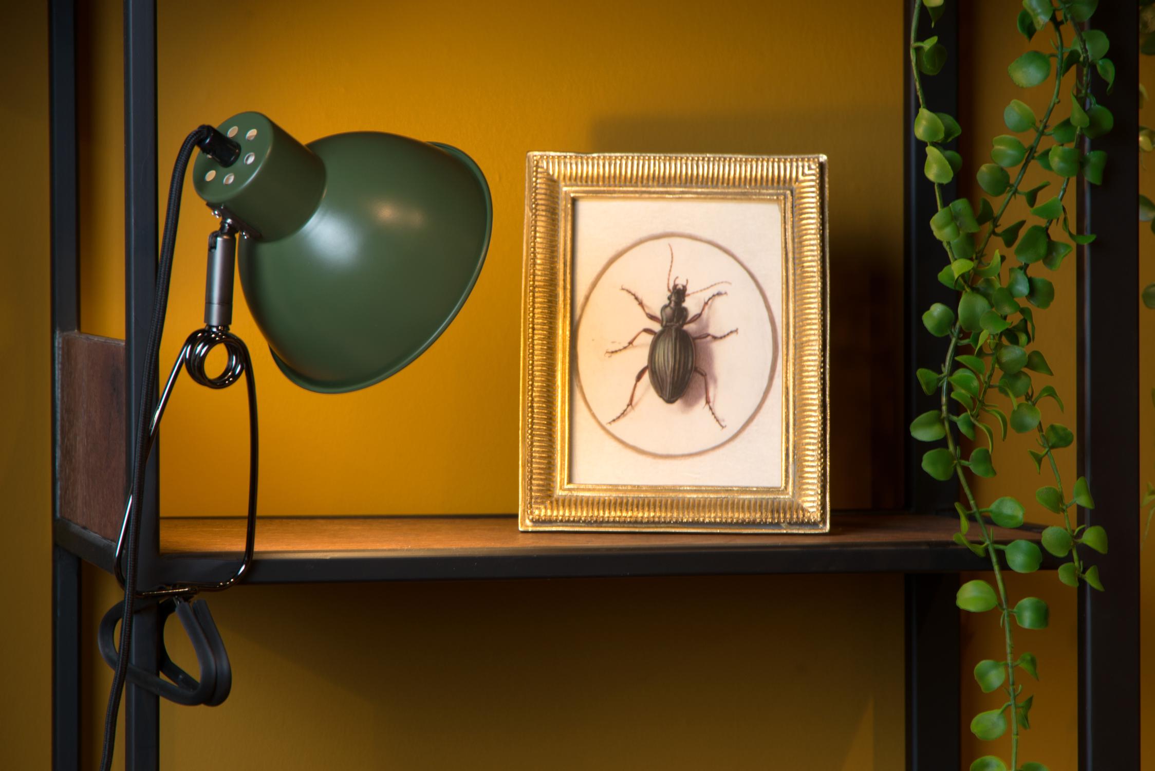 MOYS - Lampe à pince - 1xE27 - Vert