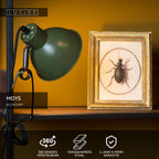 MOYS - Lampe à pince - 1xE27 - Vert