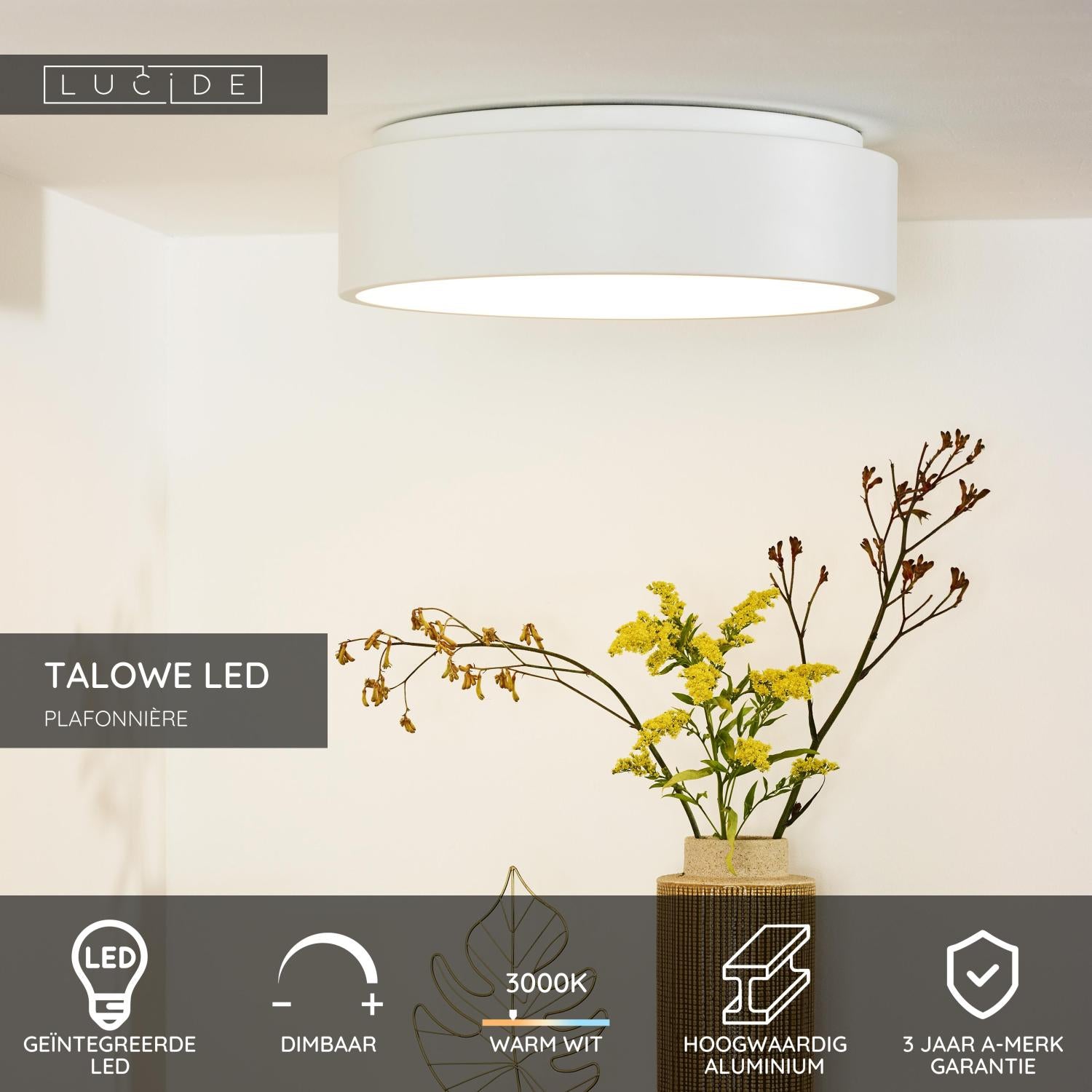 TALOWE LED - Plafonnier - Ø 45,5 cm - LED Var. - 1x30W 3000K - Blanc