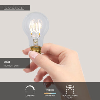 A60 - Ampoule à filament - Ø 6 cm - LED Var. - E27 - 1x4,9W 2700K - Transparent