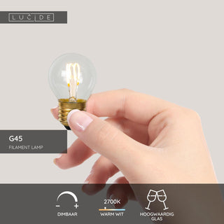 G45 - Ampoule à filament - Ø 4,5 cm - LED Var. - E27 - 1x3W 2700K - Transparent