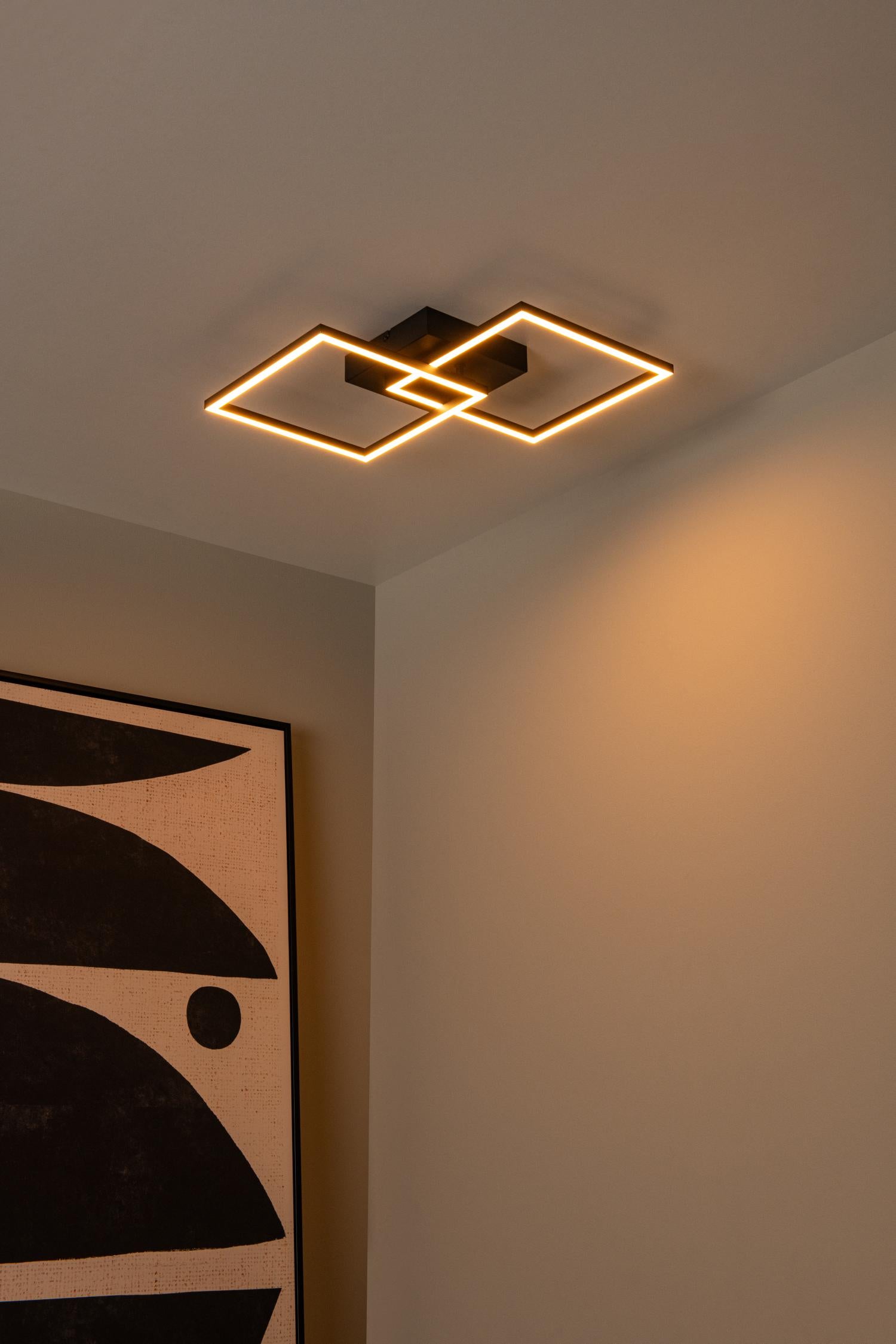 ARIANNE - Ceiling light - LED - CCT - 1x23W 2700K/4000K - Black