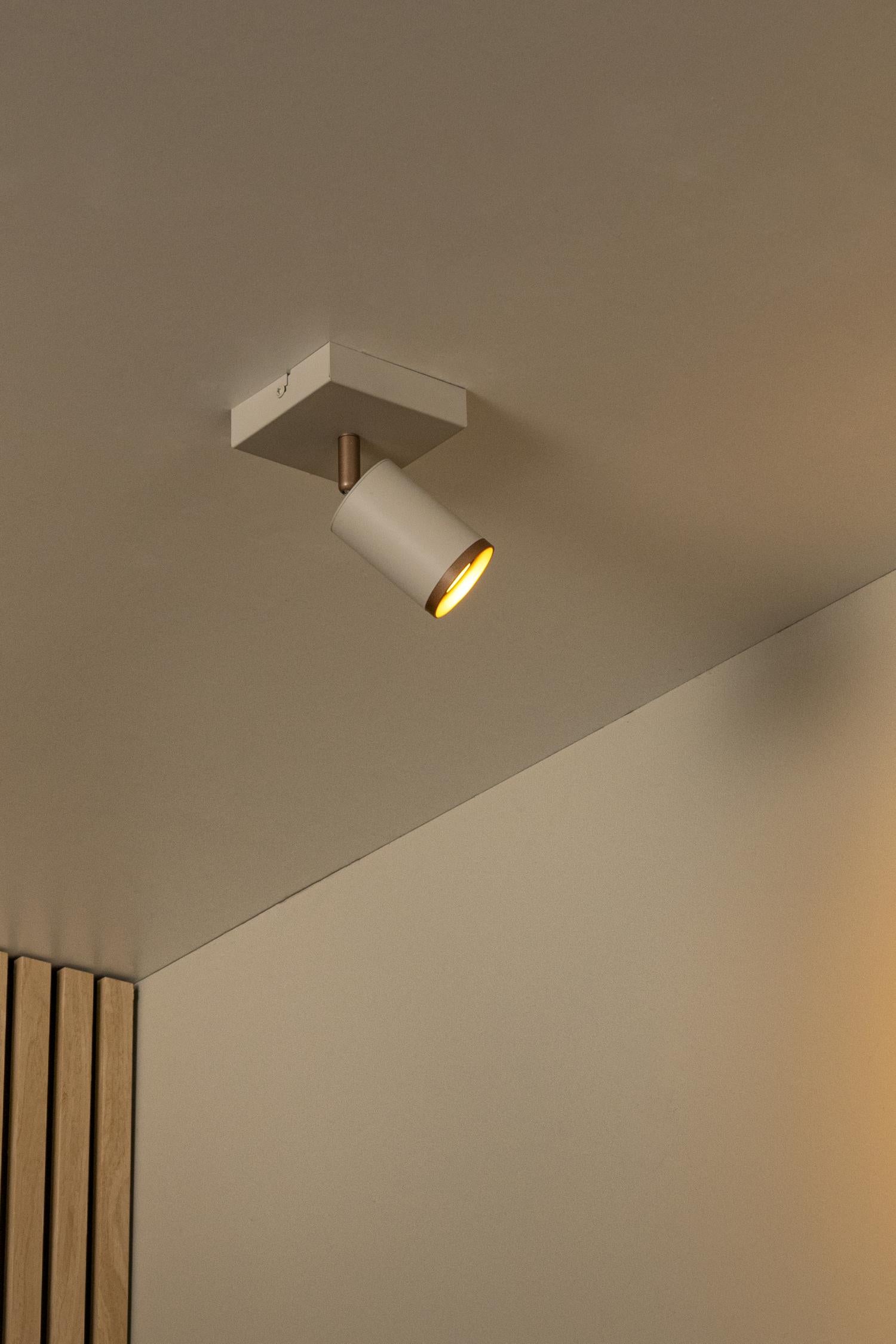 REGINA - Spot plafonnier - 1xGU10 - Taupe | Essential