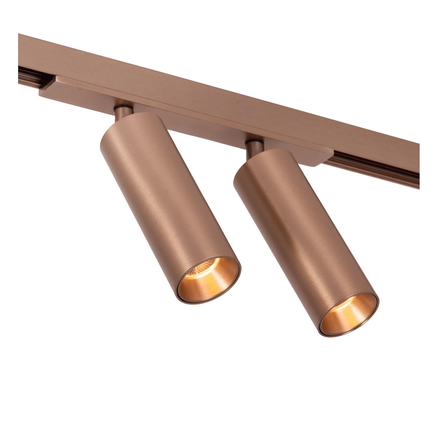 LINIAL BIXX Spot sur rail - 1 phase Système de rail / Éclairage sur rail connecté - Smart - 48V Track - 2xLED - Champagne
