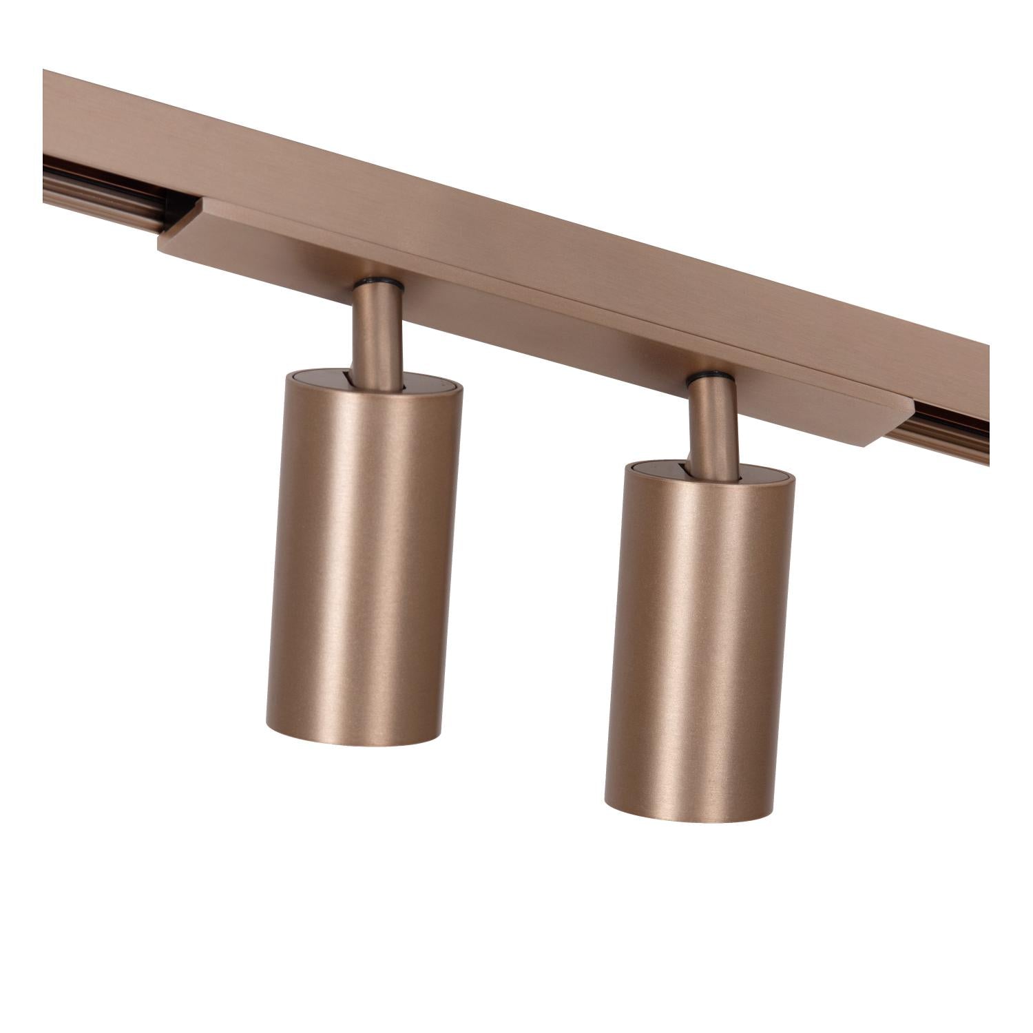 LINIAL BIXX Spot sur rail - 1 phase Système de rail / Éclairage sur rail connecté - Smart - 48V Track - 2xLED - Champagne