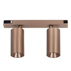 LINIAL BIXX Spot sur rail - 1 phase Système de rail / Éclairage sur rail connecté - Smart - 48V Track - 2xLED - Champagne