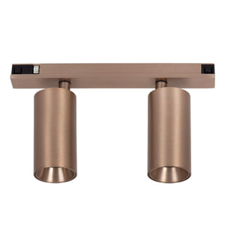 LINIAL BIXX Spot sur rail - 1 phase Système de rail / Éclairage sur rail connecté - Smart - 48V Track - 2xLED - Champagne