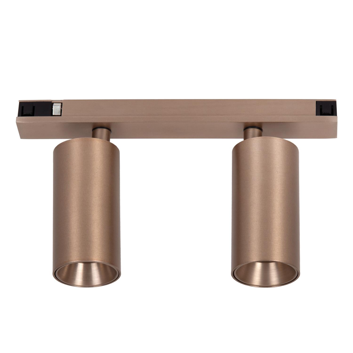 LINIAL BIXX Spot sur rail - 1 phase Système de rail / Éclairage sur rail connecté - Smart - 48V Track - 2xLED - Champagne