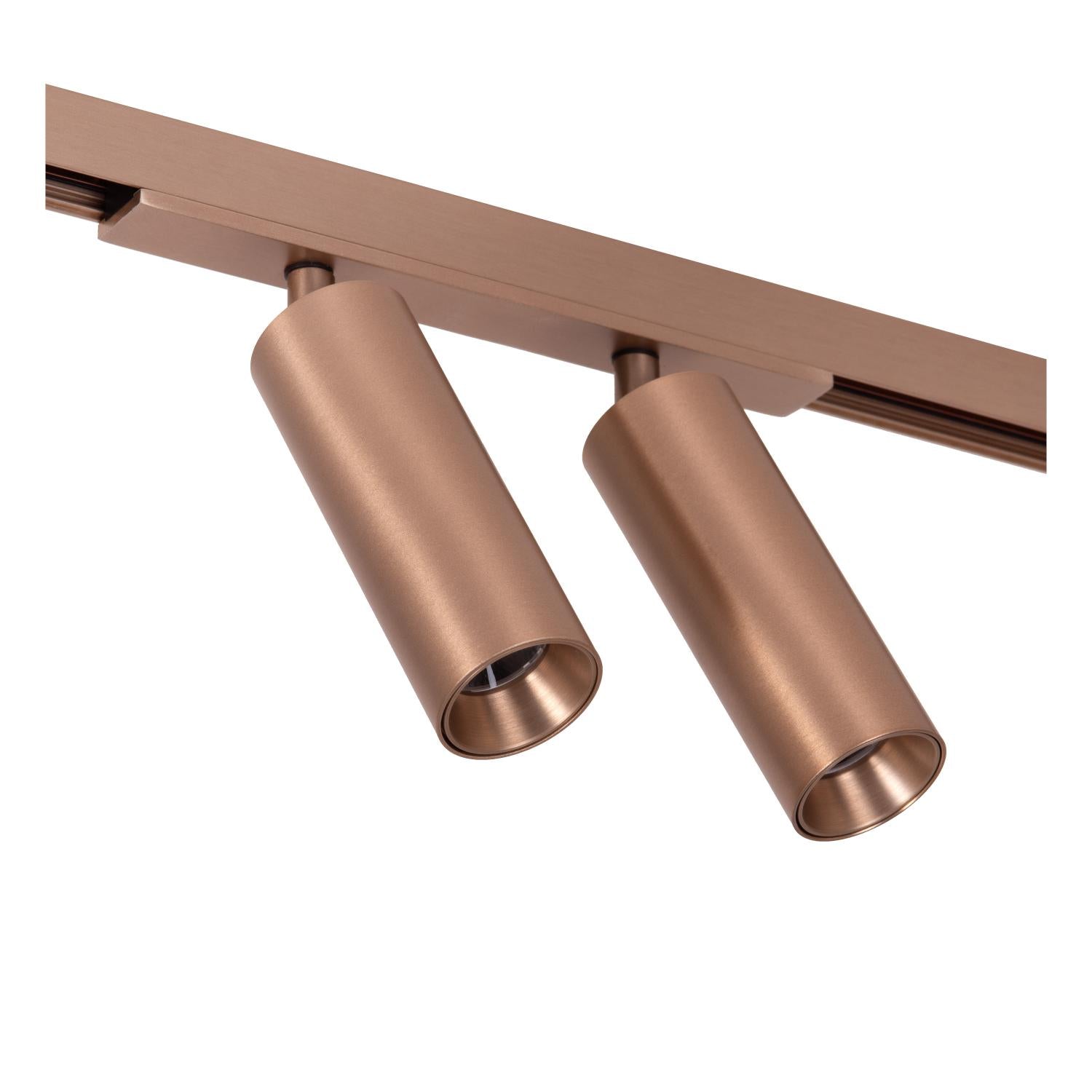 LINIAL BIXX Spot sur rail - 1 phase Système de rail / Éclairage sur rail connecté - Smart - 48V Track - 2xLED - Champagne