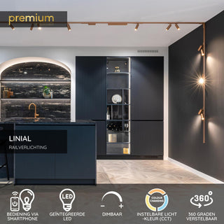 LINIAL MOXX Railspot - 1-fase Railsysteem / Smart Railverlichting - Smart - 48V Track - 2xLED - Champagne