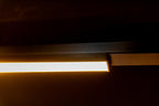 LINIAL GLYXX Spot sur rail - 1 phase Système de rail / Éclairage sur rail connecté - Smart - 48V Track - 1xLED - Champagne