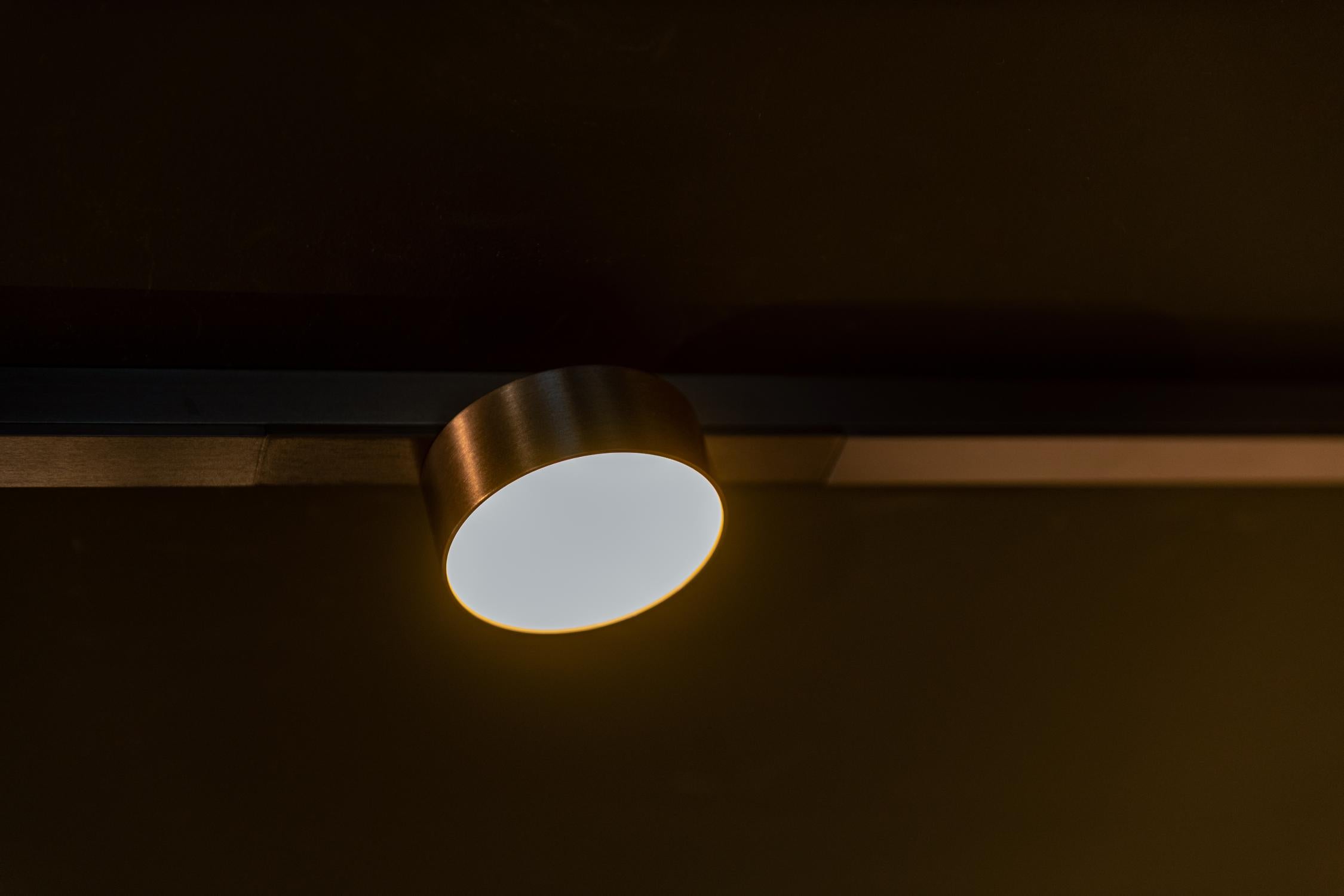 LINIAL FIXT Railspot - 1-fase Railsysteem / Smart Railverlichting - Smart - 48V Track - 1xLED - Mat Zwart Chroom