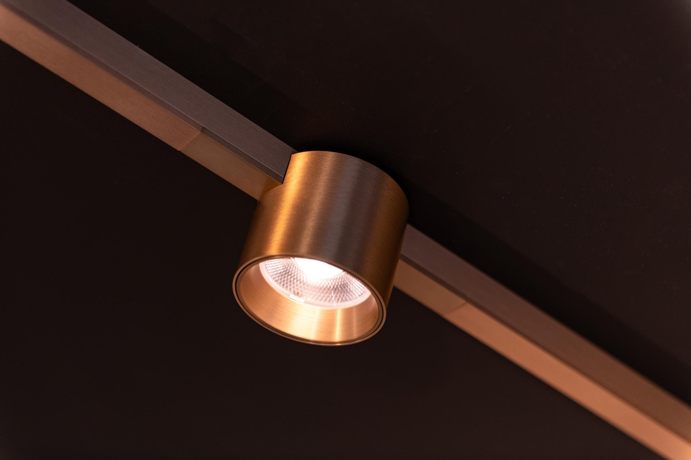 LINIAL LUX Railspot - 1-fase Railsysteem / Smart Railverlichting - Smart - 48V Track - 1xLED - Champagne