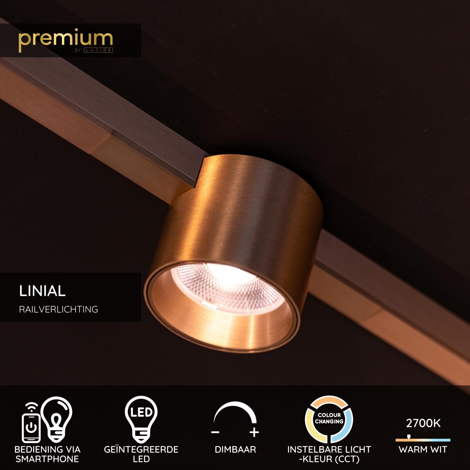 LINIAL LUX Railspot - 1-fase Railsysteem / Smart Railverlichting - Smart - 48V Track - 1xLED - Champagne