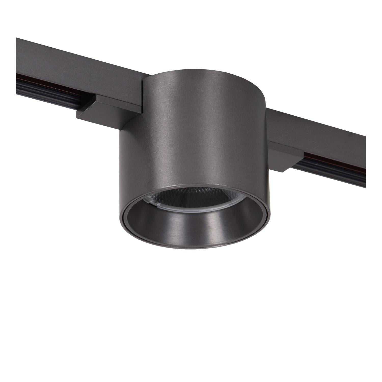 LINIAL LUX Railspot - 1-fase Railsysteem / Smart Railverlichting - Smart - 48V Track - 1xLED - Mat Zwart Chroom