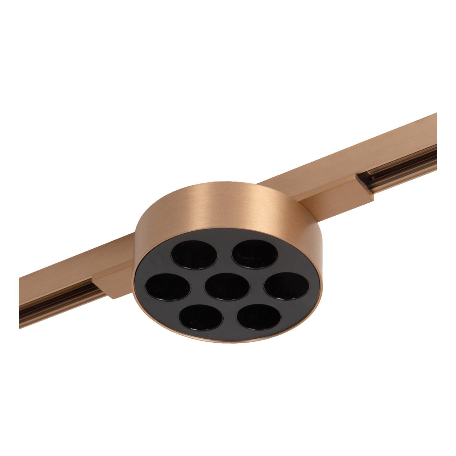 LINIAL XAVI Railspot - 1-fase Railsysteem / Smart Railverlichting - Smart - 48V Track - LED - Champagne