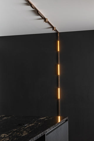 LINIAL XENIA Railspot - 1-fase Railsysteem / Smart Railverlichting - Smart - 48V Track - LED - Champagne